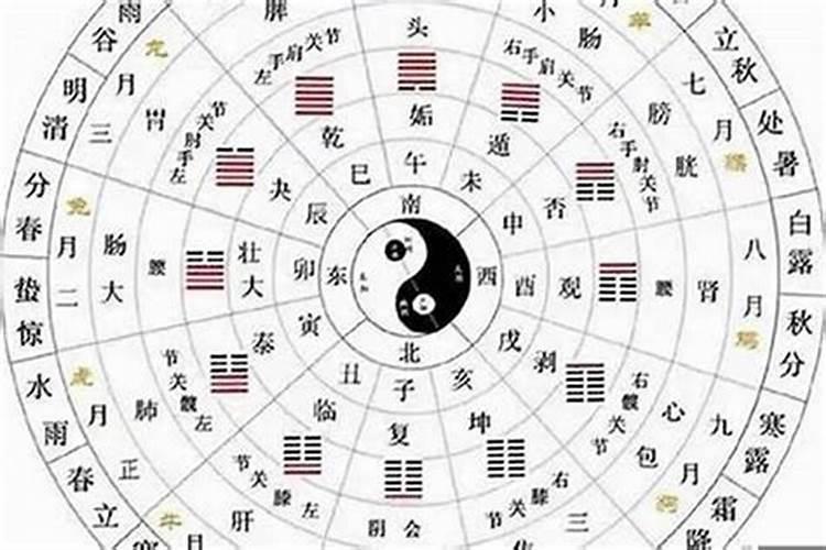 八字里的五合是什么命