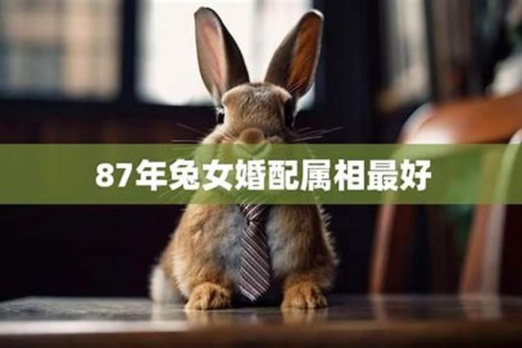 72年属鼠的2021年犯太岁吗