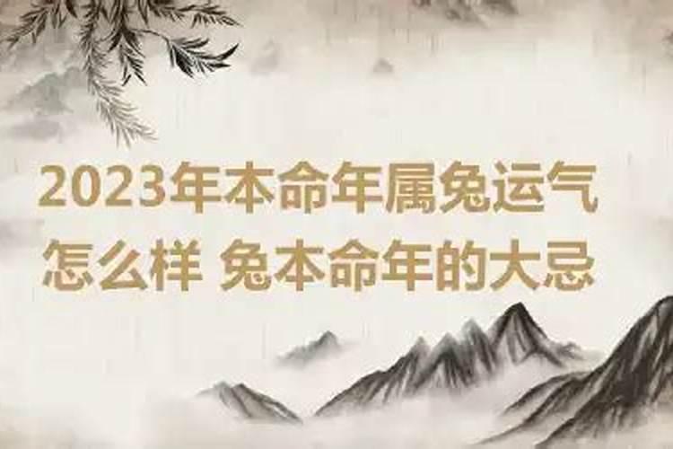 2023年属兔本命年佩戴什么