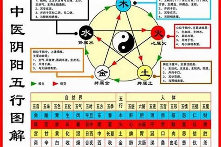 怎样看一个人是五行是什么命