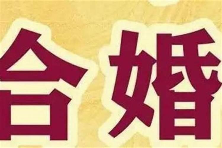 虎龙和什么属相最配