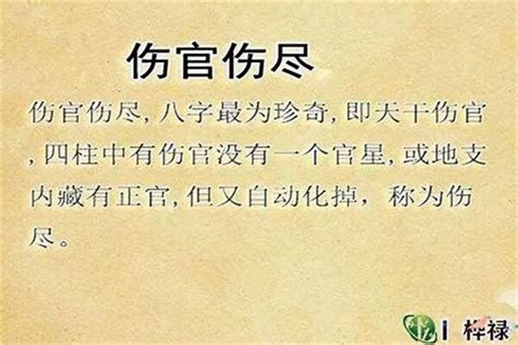 2021年属龙破太岁佩戴什么可以化解