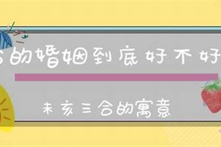 八字婚姻里三合是什么意思