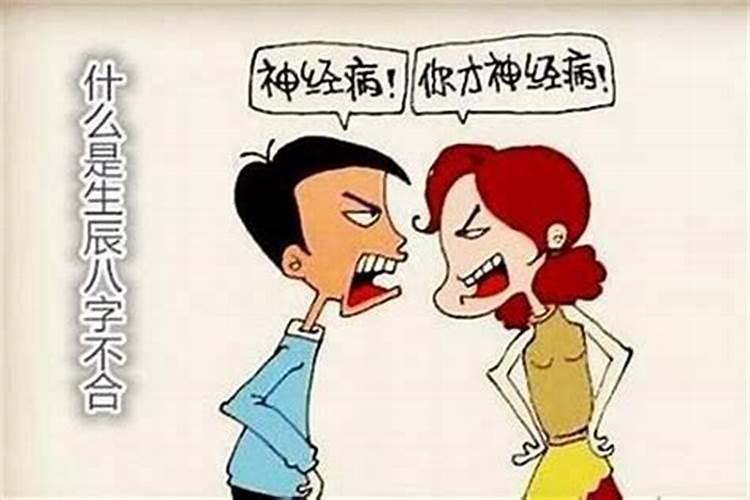 属马最佳婚配什么属相合适