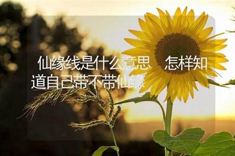 算命师傅怎样算准你未来配偶的相貌