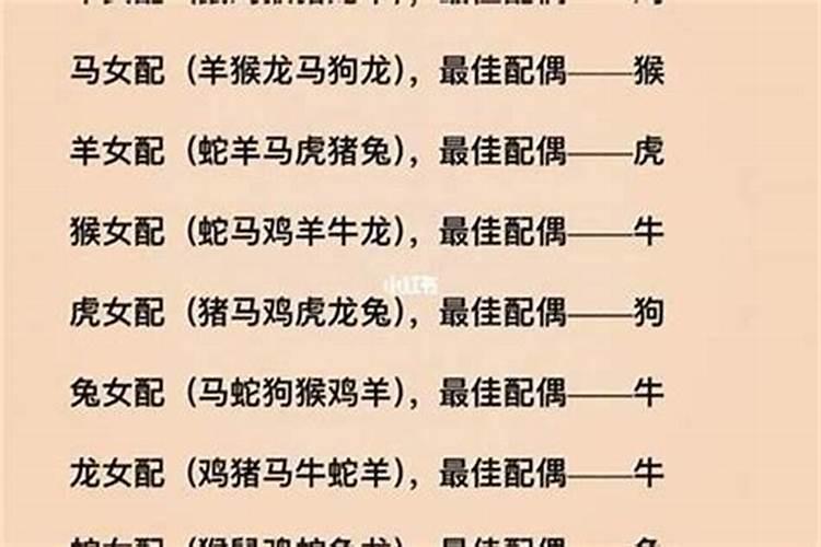 男属龙和什么属相最配、相克