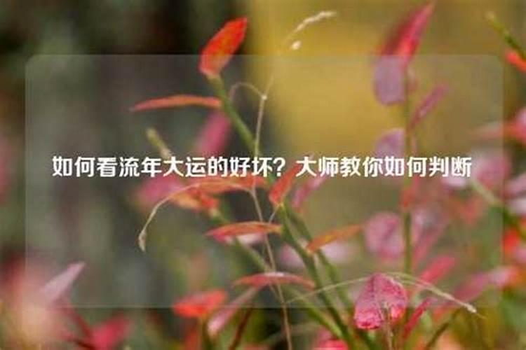 念心经可以超度堕胎婴灵吗