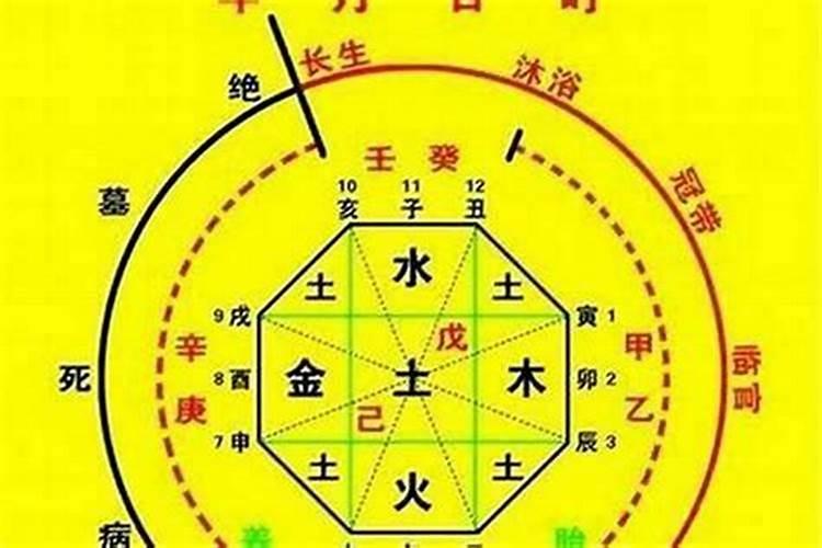 怎么看八字的喜忌用神和忌神