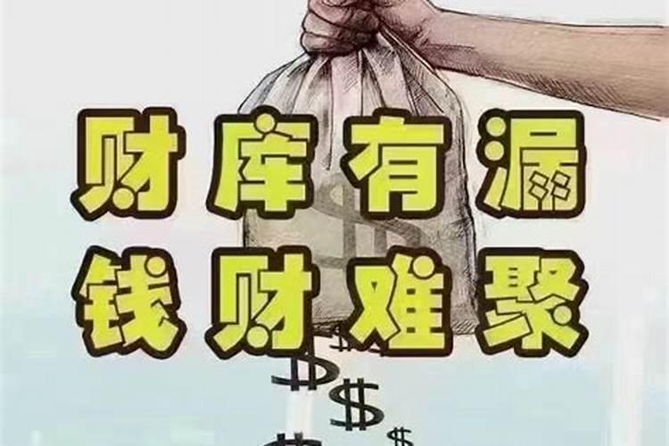 属兔的婚配大忌