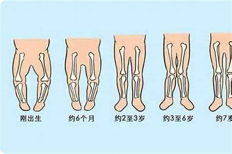 属相狗和马合得来吗