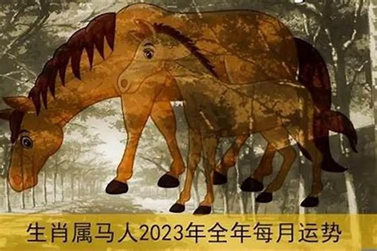 属马人今年运势2021年运势