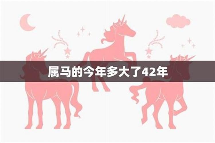 属马的人今年运势2021