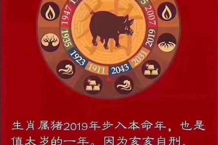 2018年犯太岁的生肖