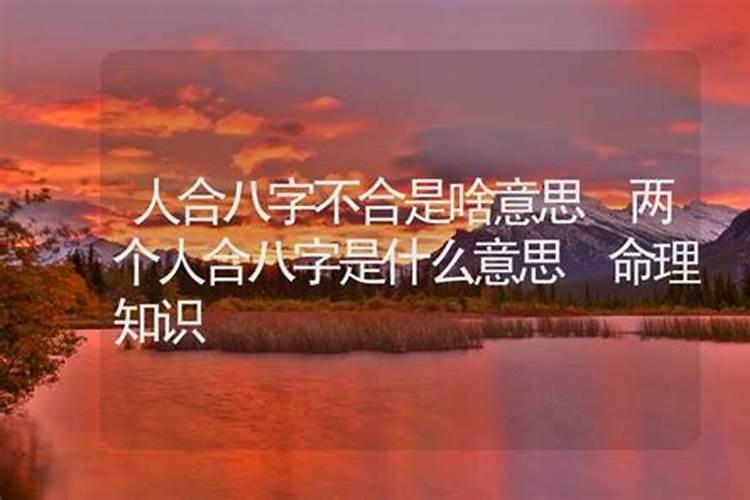 合两个人的八字需要查什么