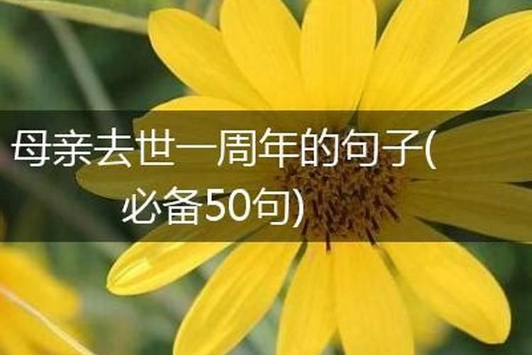 不适合婚姻的八字是什么