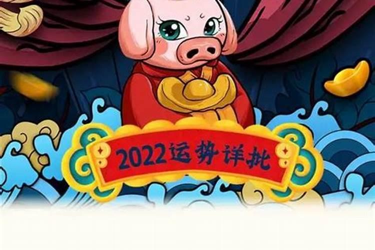 2022属猪破太岁怎么化解