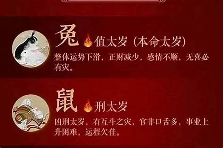 2022年犯太岁的是什么虎?