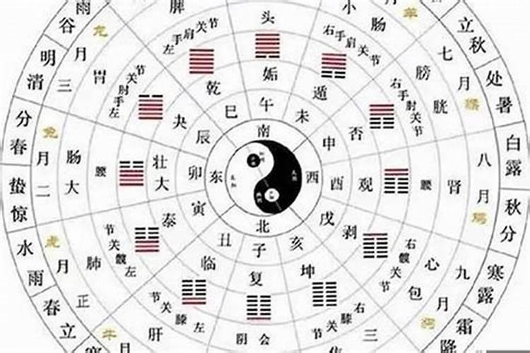 八字合婚最重要看什么