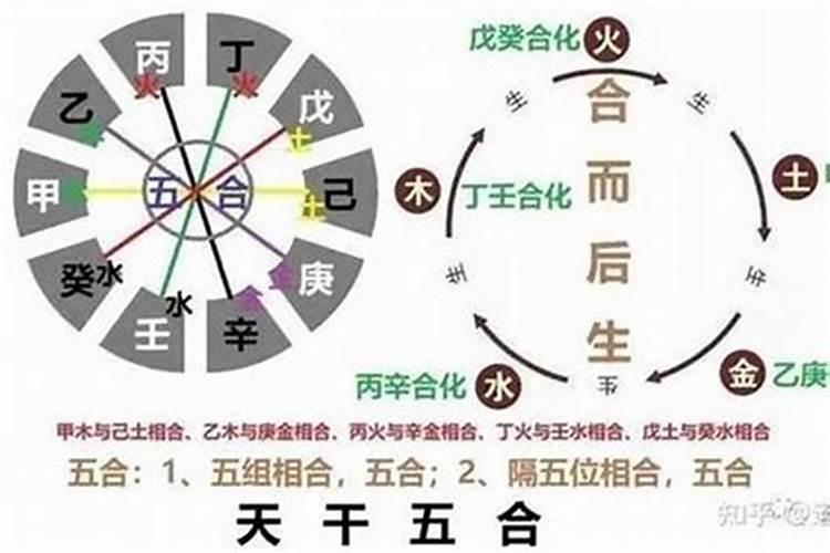 属猪人财运不好怎样转运