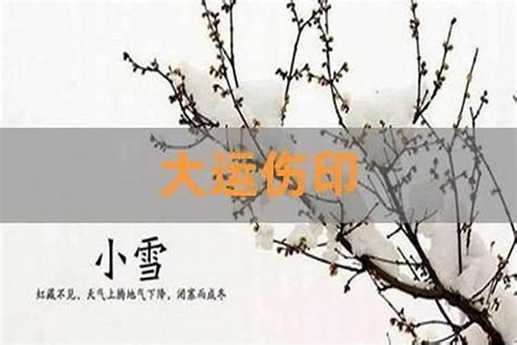 八字有两个金给什么合