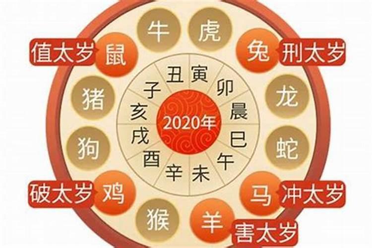 属猪2021犯太岁