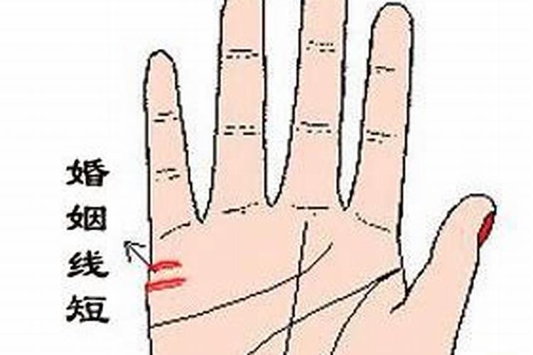 夫妻怎么看两个人八字合不合婚姻