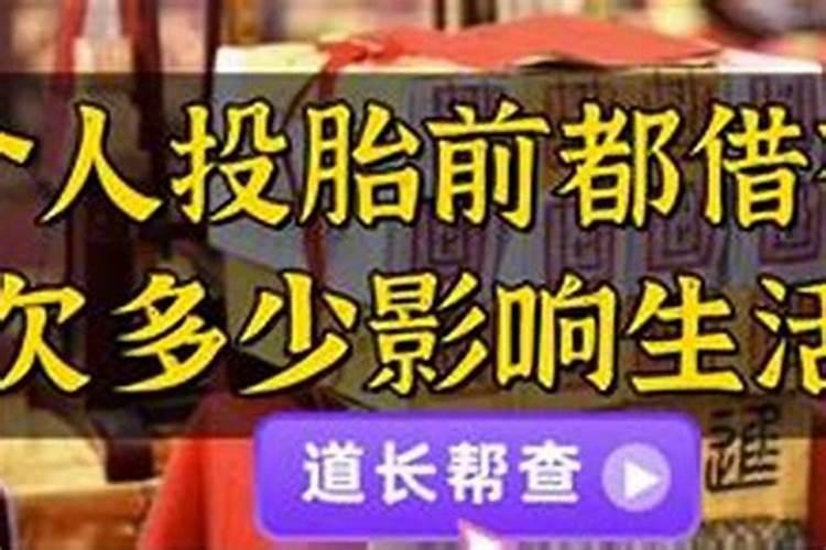 本命年实体店主要卖什么