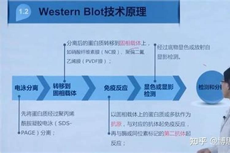 怎样用八卦看风水