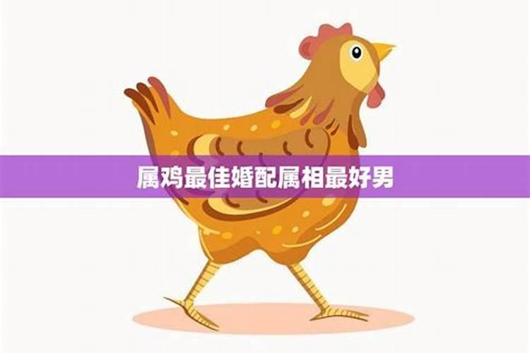 为什么结婚前合八字不合婚