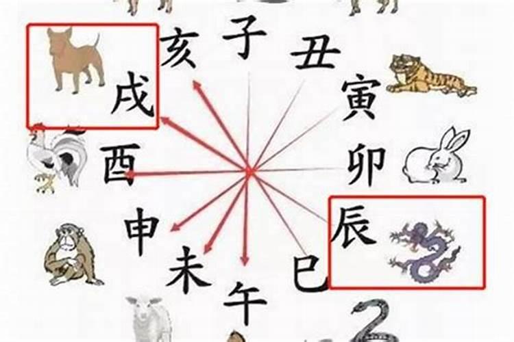 八字不合的人会怎么样