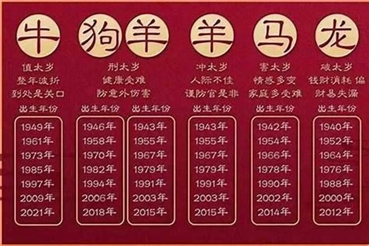 2023本命年属什么生肖