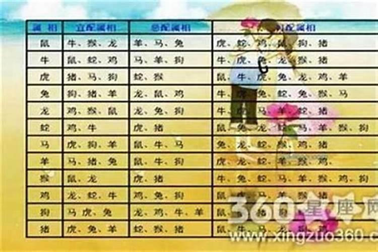 属猪女的和什么属相最配、相克