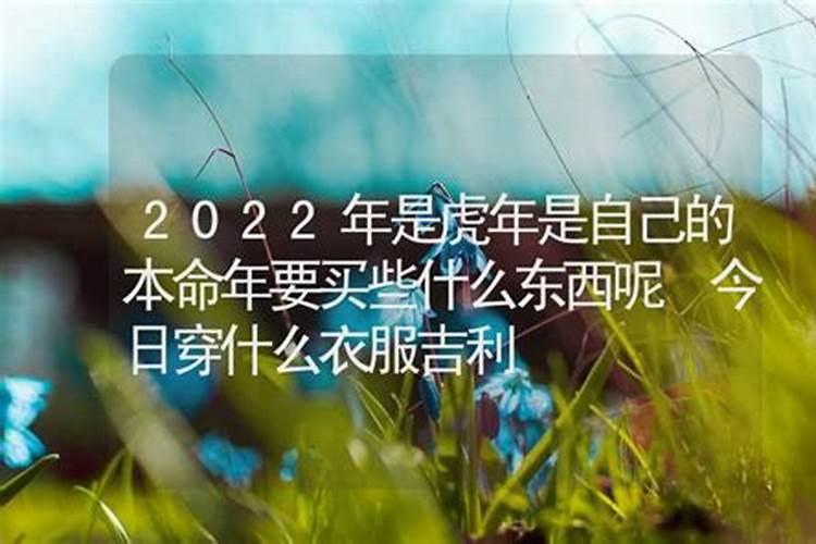 2022本命年虎年要穿什么