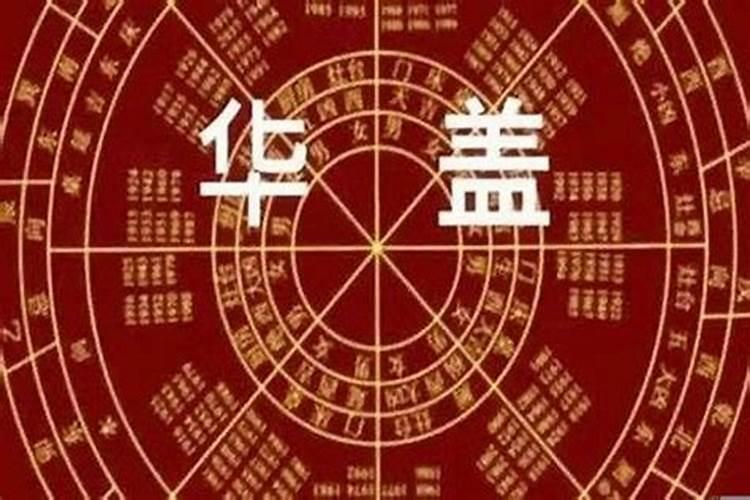 2023年属蛇人的运势及运程