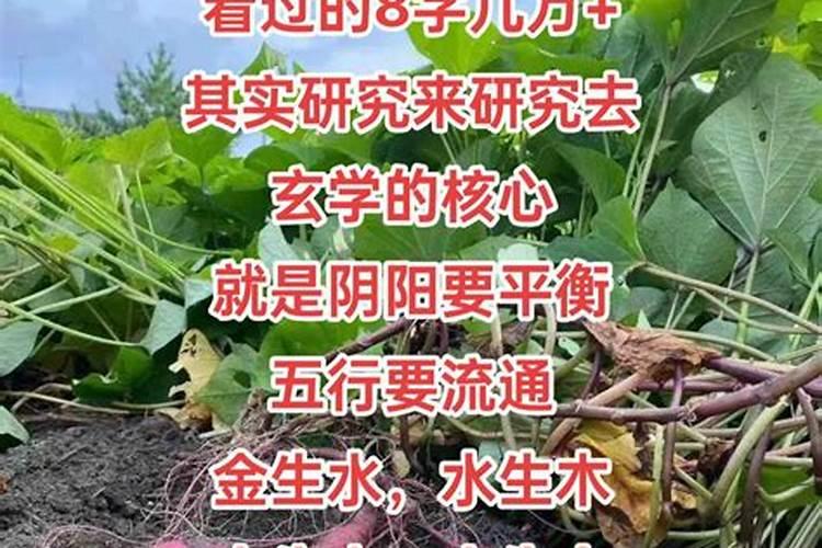 算命说我婚姻好什么意思