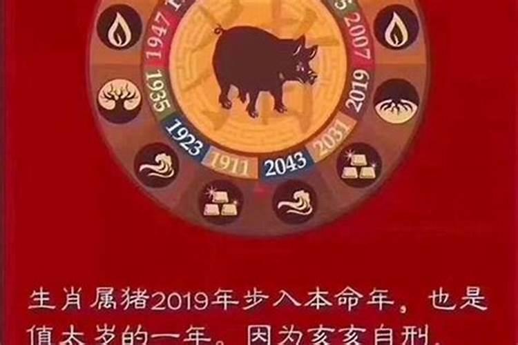 2019年什么生肖犯太岁呢