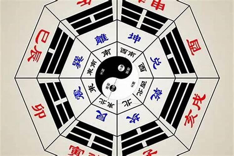 属牛和属兔的八字