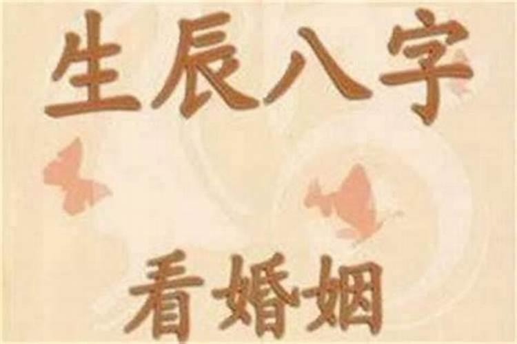 八字合八字精婚姻测