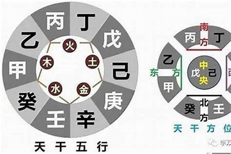 八字哪些天干和地支合