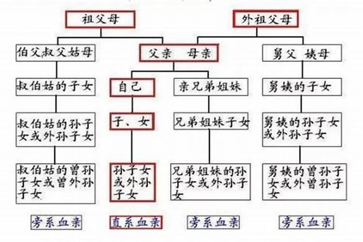 犯太岁的属相应该做什么事