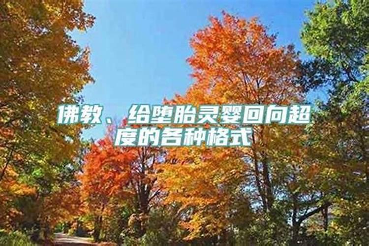 太岁在家怎么养殖