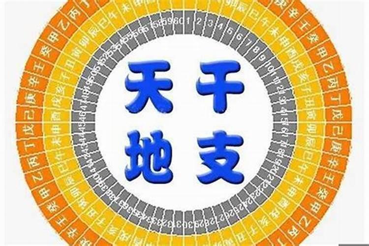 八字的地支合多代表什么