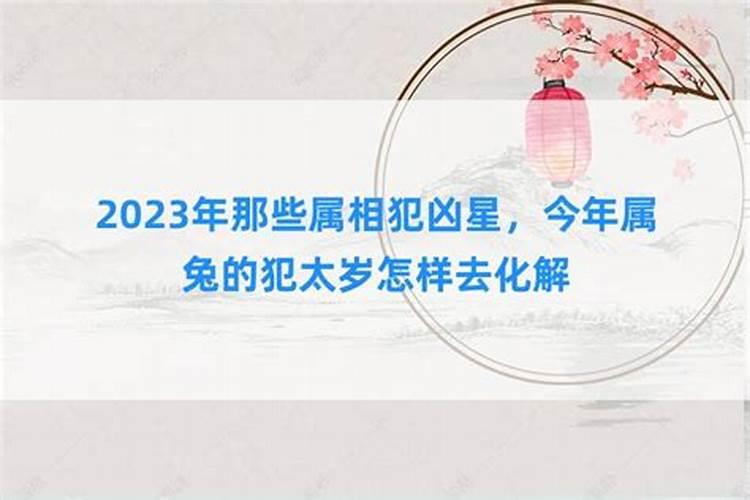 属兔2021年是不是犯太岁