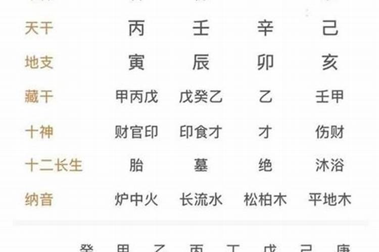 八字合多是狐狸精吗