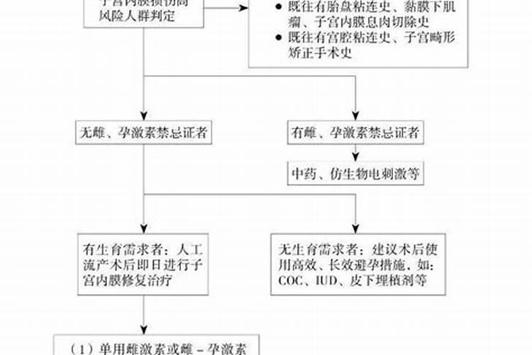 如何知道八字身弱身强