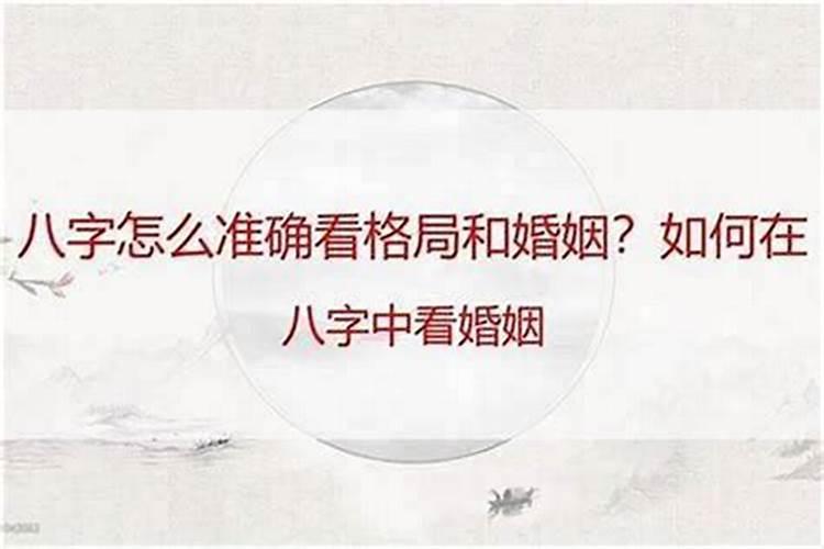 生肖合不合适可信吗