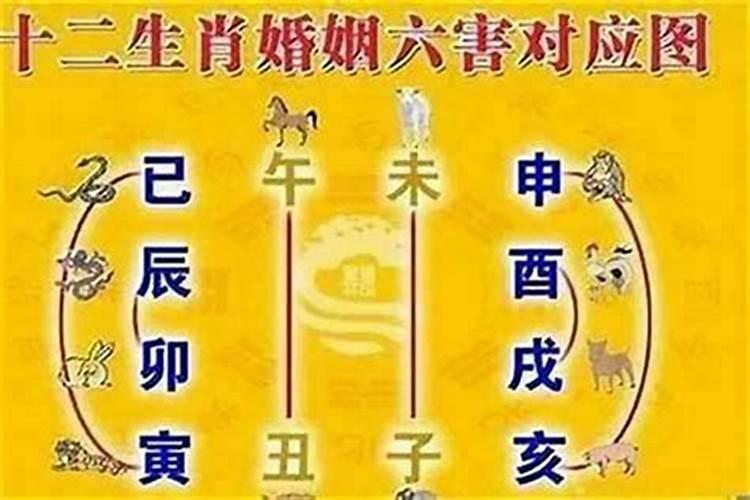 八字什么是桃花劫呢