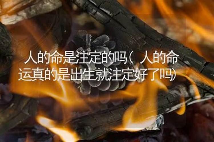 算命说我感情不顺