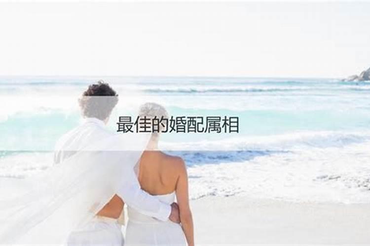 结婚怎么看八字合不合婚呢