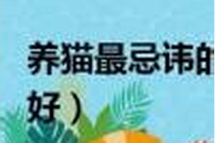 八字合婚包括哪些内容和方法